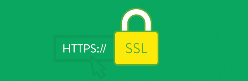 Kakoj SSL sertifikat vybrat dlya sajta